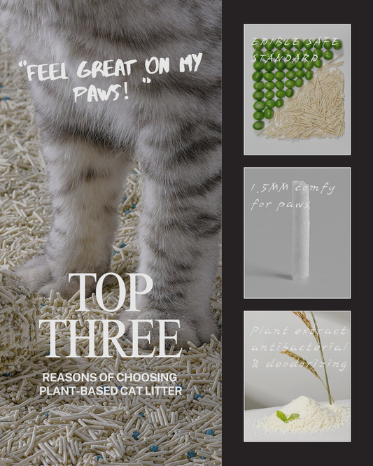 PETSHY Natural Cat Litter Series – Clean Living, Tailored to Every Cat