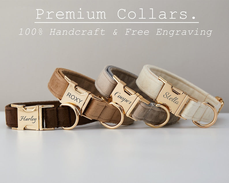 Personalised Velvet Dog Collar & Lead Set with Bow – Multiple Colours