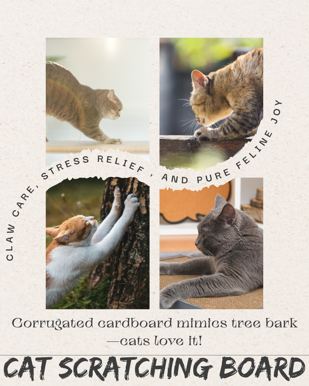 🐱 Odour Control Cat Litter Comfort Bundle- 2 Odour Control Litter Bags & 1 Cat Scratcher