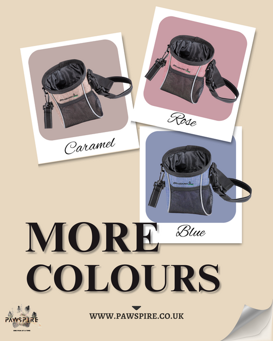 Premium Pet Training Treat Bag – Functional Design Meets Everyday Style