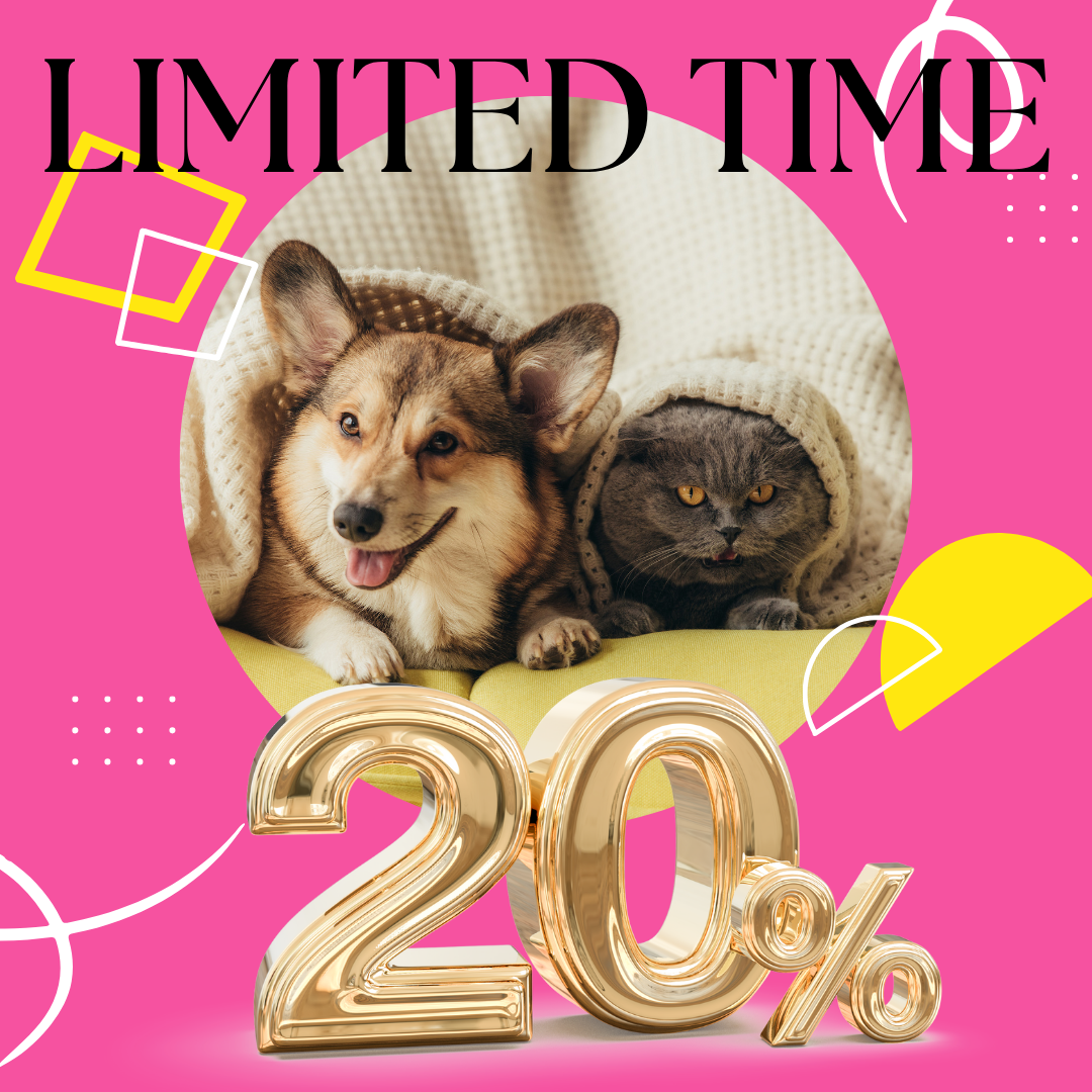 Limited Time 20%OFF