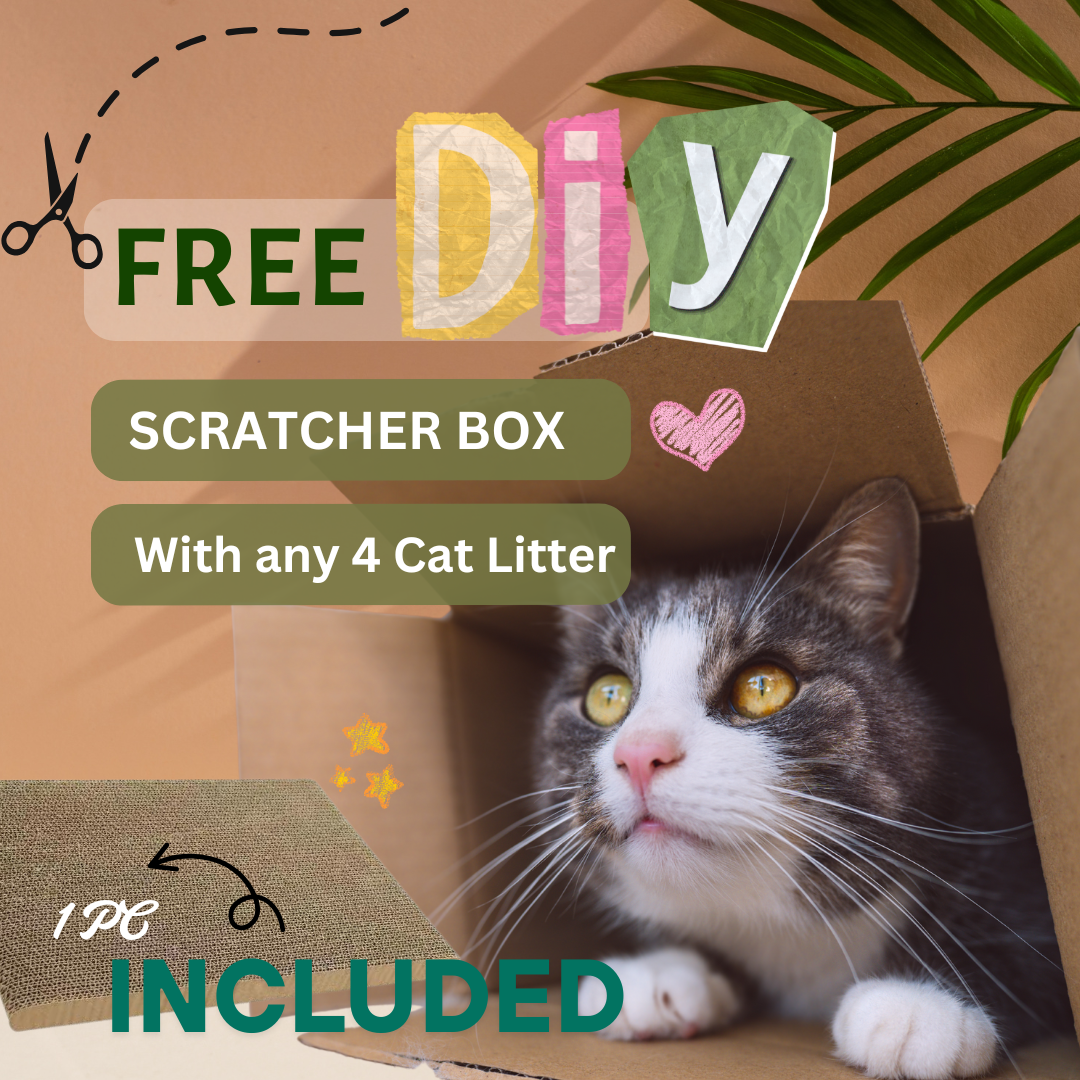 Cat Litter Deal