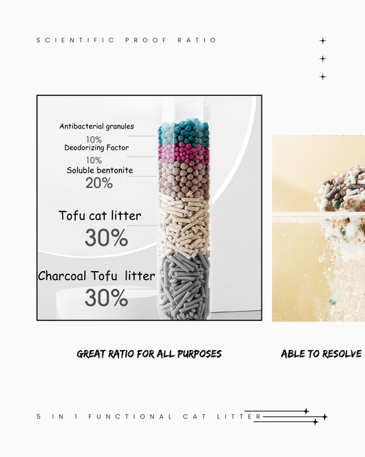 5-in-1 Plant-Based Mixed Cat Litter  – Odour Control, Fast Clumping, Eco-Friendly