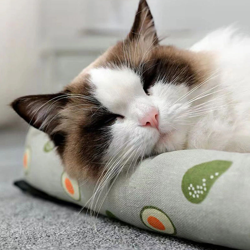 Anti-Scratch Non-Slip Washable Mattress Summer Rattan Pet Cooling Mat
