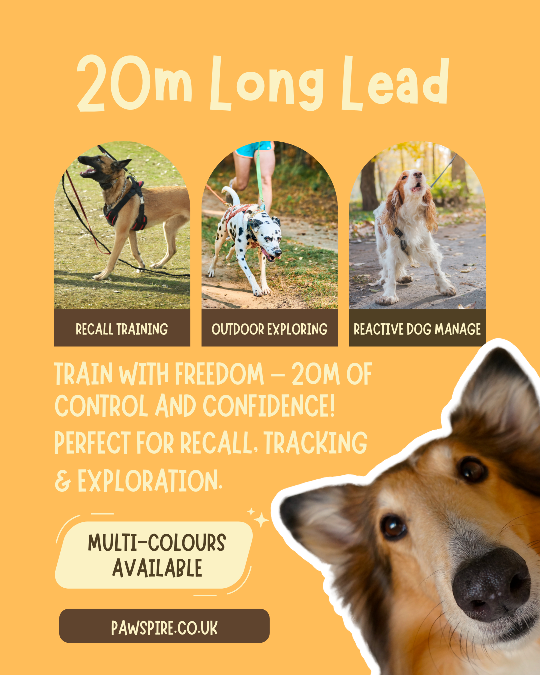 🐶 Freedom Summer Training Bundle – Long Lead, Slow Feeder, Treat Bag, Clicker+ 3 Poop Bag Rolls