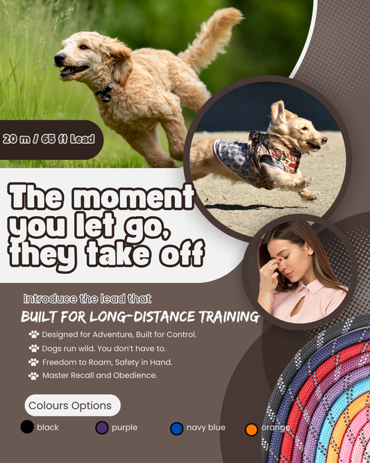 20M Long Dog Training Leash with Reflective Strip – Strong Nylon Lead for Outdoor Freedom & Control