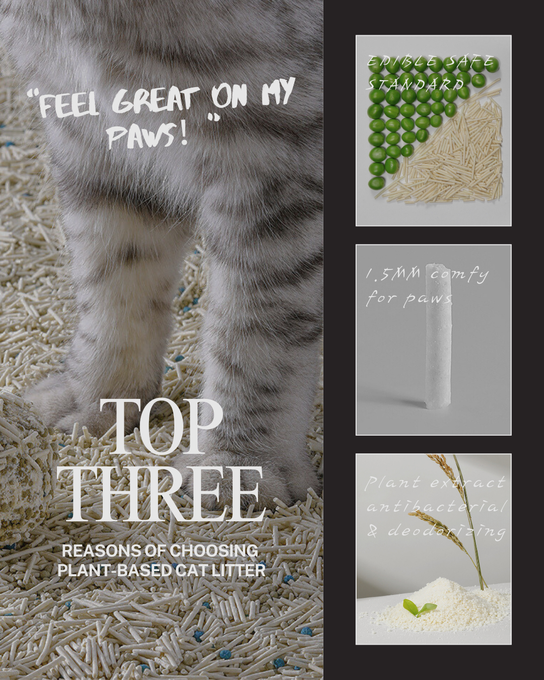 🐱Eco Cat Comfort Bundle- 3 Bags of Eco-Friendly Cat Litters & 1 Scartching Borad