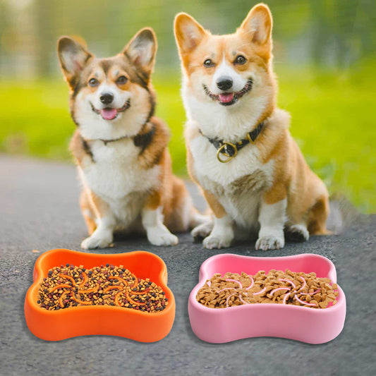 Silicone Slow Feeder Dog Plate – Food Grade, Freezer & Dishwasher Safe